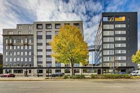 Chicago apartment for rent - A modern building with a yellow tree in front.