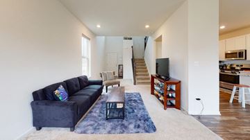 Crown Point house for rent - A living room with a black couch and a blue rug.