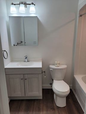 St Jacobs apartment for rent - A white toilet sits next to a sink in a small bathroom.