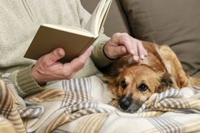 St. Ignace apartment for rent - a man reading a book with his dog on his lap