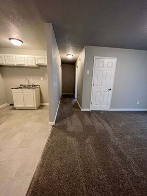 Dilworth apartment for rent - A hallway with a brown carpet and white doors.