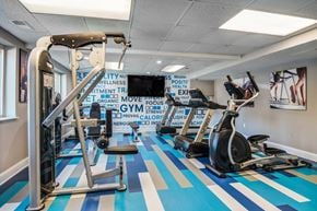 Laurel apartment for rent - A gym with a blue and white striped floor.