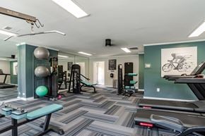 Spartanburg apartment for rent - A gym with a variety of equipment including a treadmill, weights, and a bench.