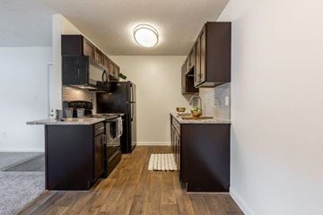 Greenville apartment for rent - a kitchen with black appliances and a counter top and
