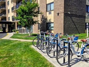 Cherry Hill apartment for rent - A row of bicycles are parked on a sidewalk in front of a building.