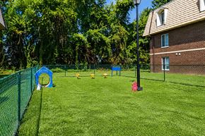 Dover apartment for rent - A playground with a blue slide and a red bucket.