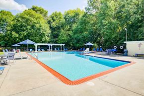 Marlton apartment for rent - a resort style pool with chairs and umbrellas and trees