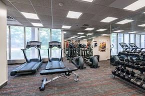 New Brunswick apartment for rent - a gym with cardio equipment and windows in a building