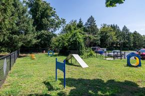 Pleasantville apartment for rent - the park has a playground and a picnic area