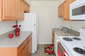 Somerdale apartment for rent - a kitchen with a stove and a refrigerator