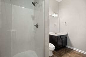 New Albany apartment for rent - a bathroom with a shower and a sink and a toilet