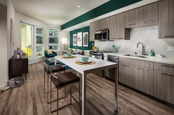 Gourmet kitchen