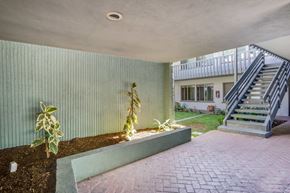 Los Angeles apartment for rent - A green wall with a plant on it.