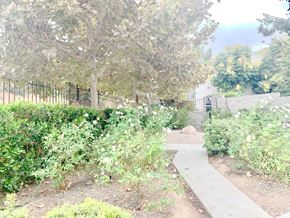 Pacoima apartment for rent - A pathway in a garden with a fence and trees.