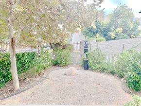 Pacoima apartment for rent - A dog is sitting in the middle of a gravel path.