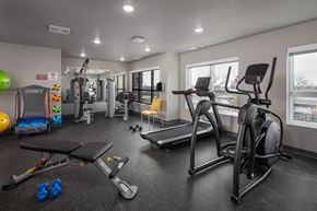 Mounds View apartment for rent - a gym with treadmills and other exercise equipment at the enclave at university heights