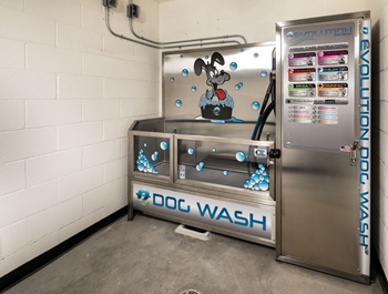 Pet wash station