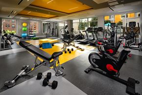 Los Angeles apartment for rent - Gym with weights and treadmill