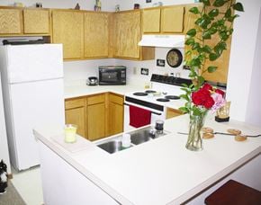 Cleves apartment for rent - a kitchen with a vase of roses on the counter