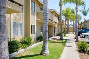El Cajon apartment for rent - an apartment building with palm trees and a sidewalk
