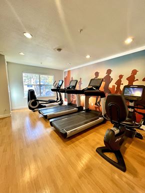 Austin apartment for rent - a gym with cardio equipment and a wall mural of violence