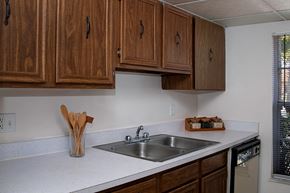 Kissimmee apartment for rent - a kitchen with a sink and wooden cabinets