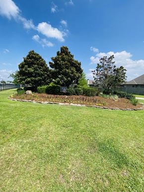 Broussard house for rent - a garden with a mound of dirt and some trees