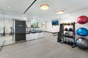 Alexandria apartment for rent - Gym