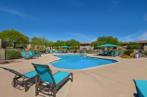 Oro Valley house for rent - a swimming pool with blue chairs and umbrellas