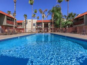 Palm Springs apartment for rent - the swimming pool at the resort with palm trees