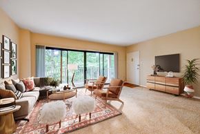 Silver Spring apartment for rent - Livingroom