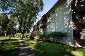Victoria apartment for rent - A tree-lined pathway leads to a white building with balconies.