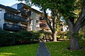 Victoria apartment for rent - A tree-lined walkway leads to apartment buildings.