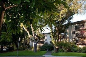 Victoria apartment for rent - A tree with a sign on it stands in front of a building.