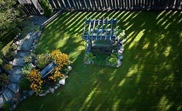 Victoria apartment for rent - A blue bench is surrounded by green grass and yellow flowers.