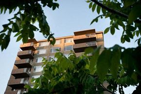 Vancouver apartment for rent - A tall building with balconies is seen through the leaves of a tree.