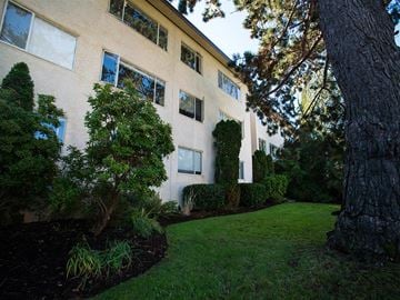 Victoria apartment for rent - A large tree is in front of a building.