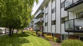 Victoria apartment for rent - A tree is in front of a building.