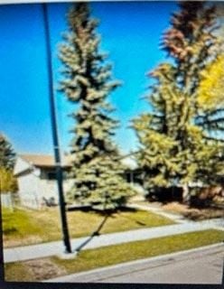 Edmonton apartment for rent - a picture of a tree in front of a house