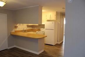 Petal apartment for rent - an empty kitchen with a sink and a refrigerator