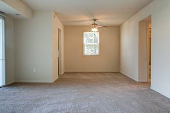 Ceiling fan