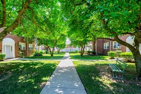 Clifton apartment for rent - a tree lined sidewalk in front of a brick building