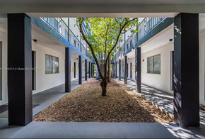 Miami apartment for rent - a corridor with a tree in the middle of a building