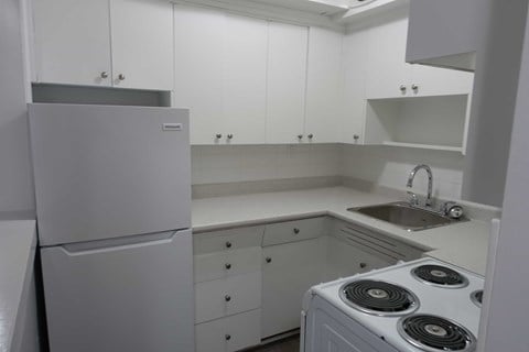 Floor plan for 1 bed, 1 bath, 543 sqft