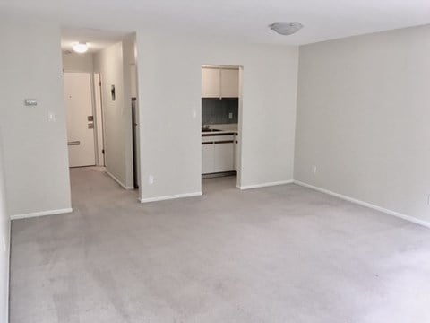 Floor plan for studio, 1 bath, 465 sqft