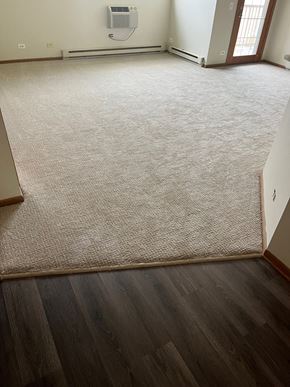 Round Lake Beach apartment for rent - an empty room with a hard wood floor and a tan carpet