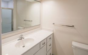 Vestal apartment for rent - a bathroom with a sink and a shower and a mirror