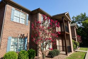 Bowling Green apartment for rent - A red flowering tree is in front of a brick building.