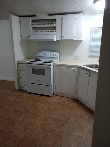 Warrenville house for rent - A kitchen with a stove, oven, and cabinets.