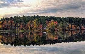 Manchester apartment for rent - A serene lake surrounded by a forest of trees with autumn foliage.